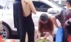 网友对童所长的最新爆料,揭秘事件背后惊人真相